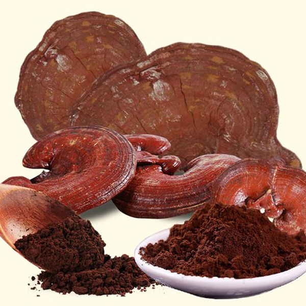 [HCM]Bột Nấm Linh Chi Cao Cấp 100g