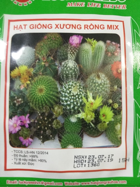 HẠT GIỐNG XƯƠNG RỒNG