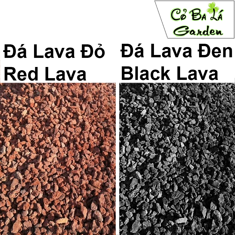 Đá Lava Đỏ,Đen , túi 1-kg Đá nham thạch đỏ.đen