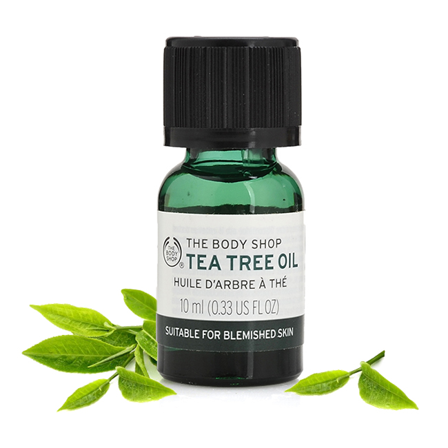 Tinh dầu giảm mụn Tea Tree Oil 10ml