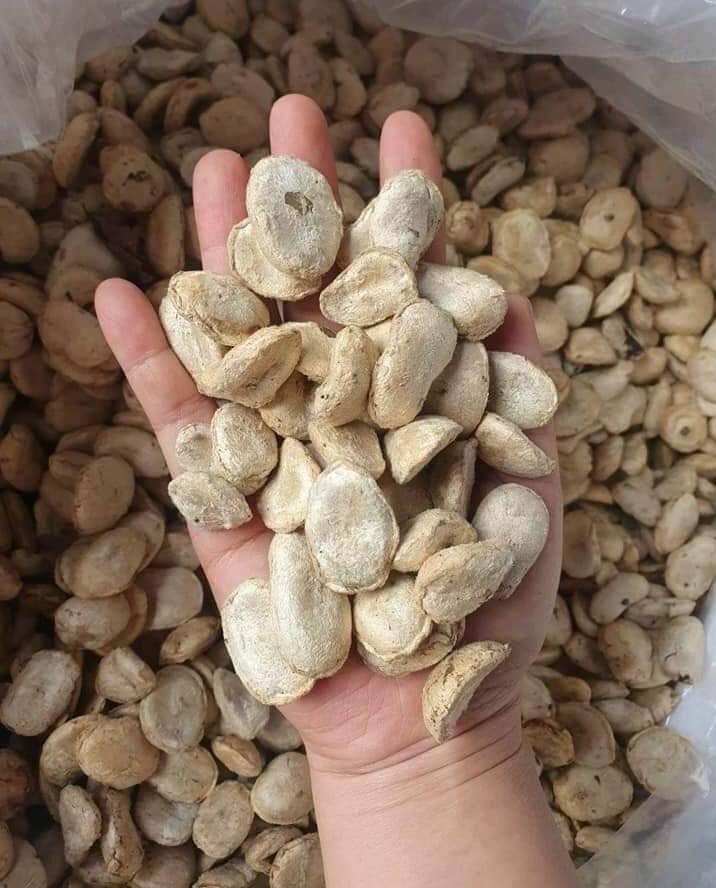 Hạt sang rừng hạt sành hạt già lõi trắng