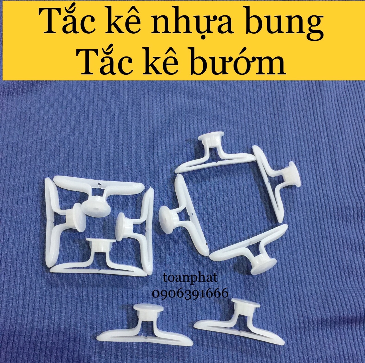 [combo10 con] Tắc kê thạch cao, tắc kê bướm