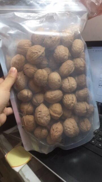 1Kg Óc Cho Sapa To Ngon Mẩy