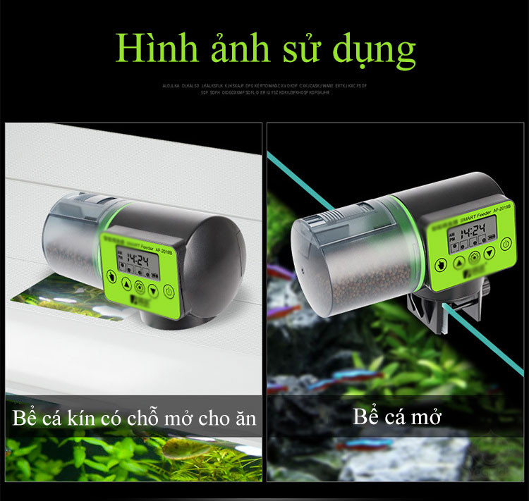 Hanrui - Máy Cung Cấp Thức Ăn Cho Cá Tự Động LCD