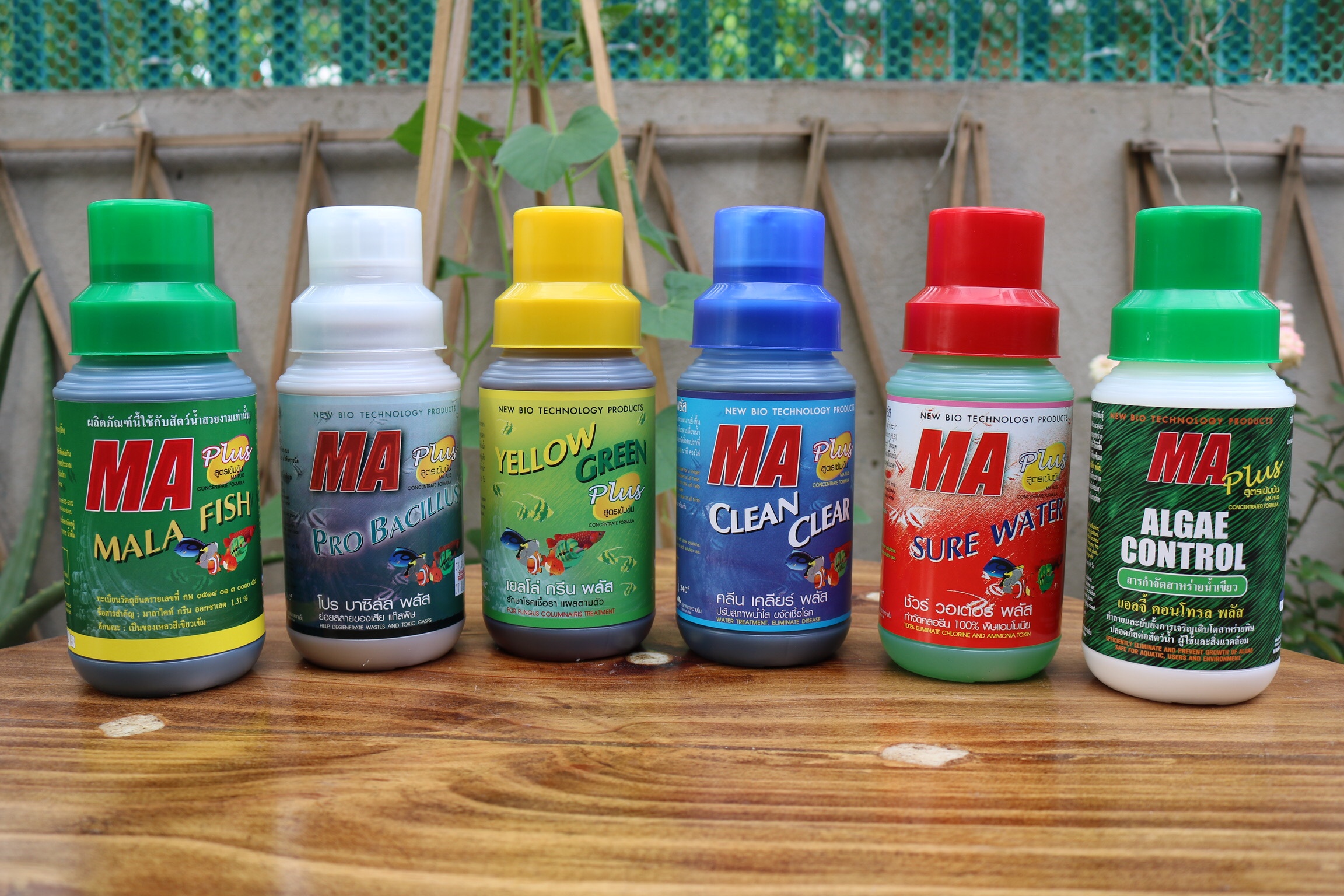Thuố.c T.rị Bệnh Nấm Cá chai 500ml