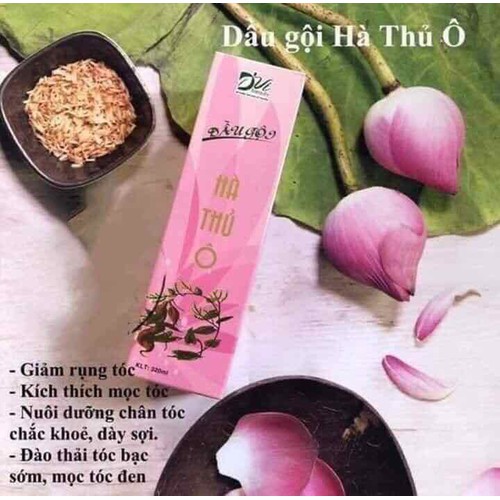 DẦU GỘI HÀ THỦ Ô D’VI BEAUTY - DG400