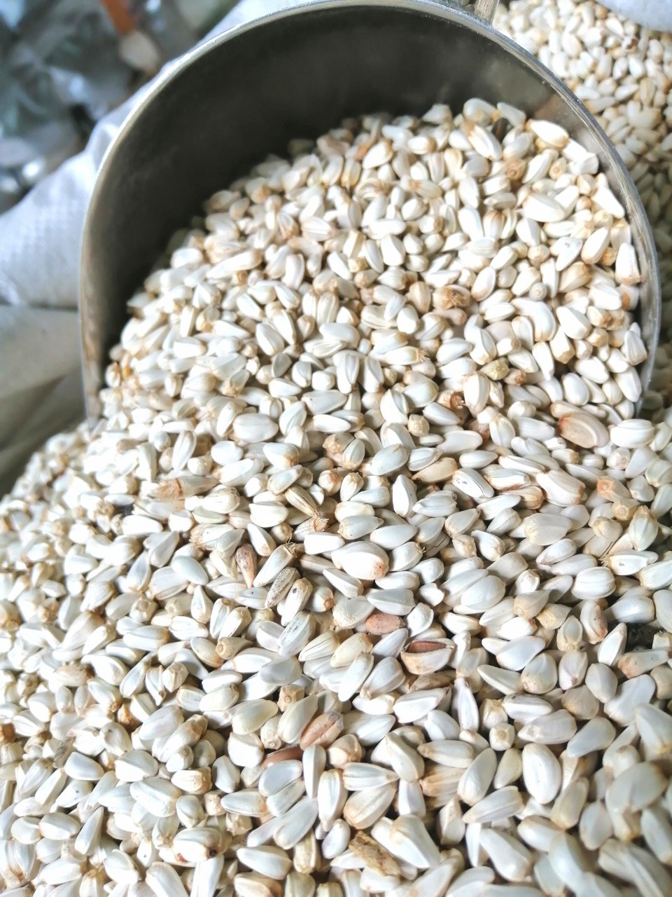 hạt kham trắng thục phẩm cho chim gà 1kg