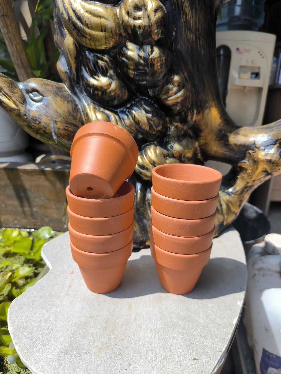 Combo 10 chậu đất nung trồng sen đá đường kính 7 cm, cao 6,5 cm
