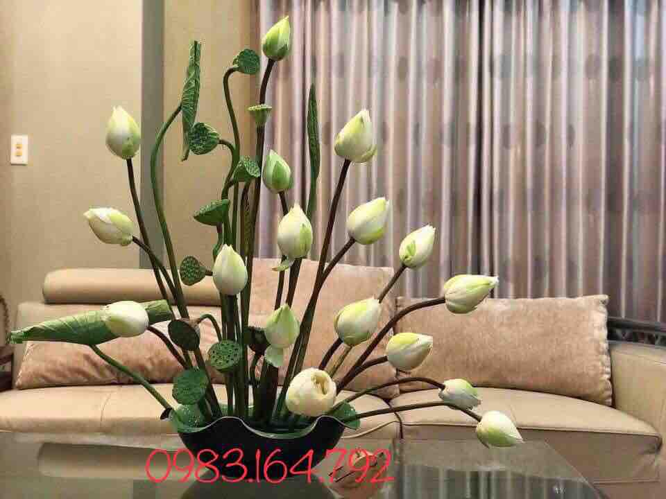 Bát sen cắm hoa, thả hoa KT 30cm