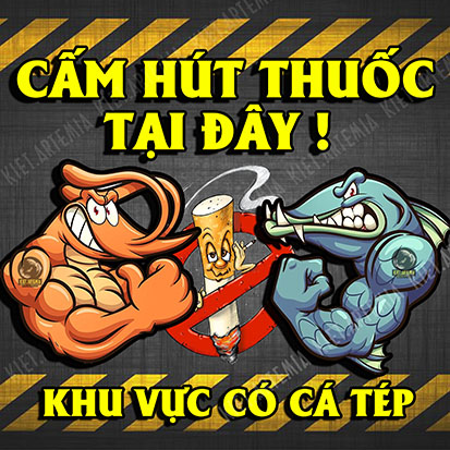 Decal cảnh báo dán hồ cá vui nhộn, trang trí bể cá