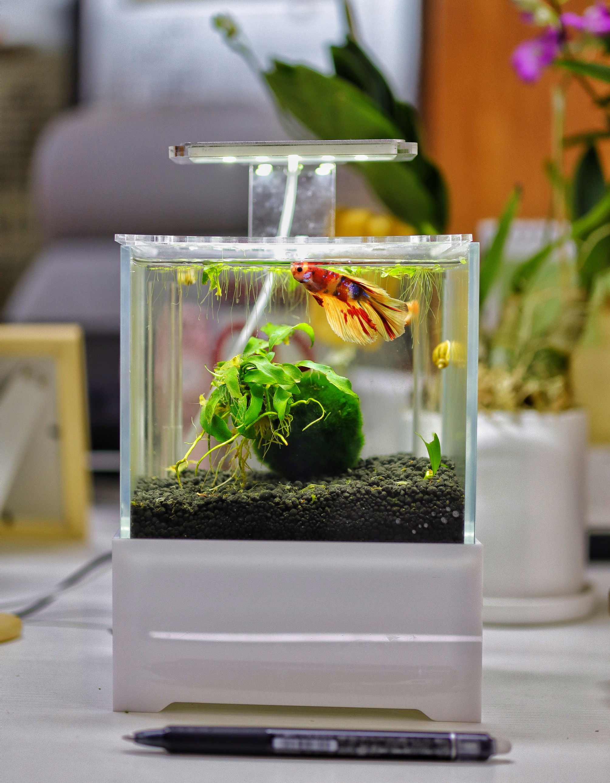 Bể cá thủy sinh Mini để bàn 03