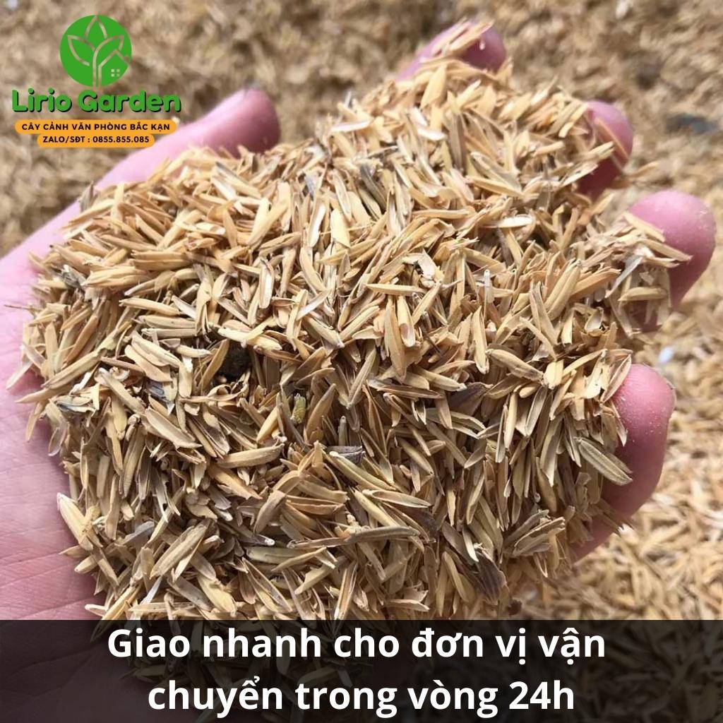 vỏ trấu khô
