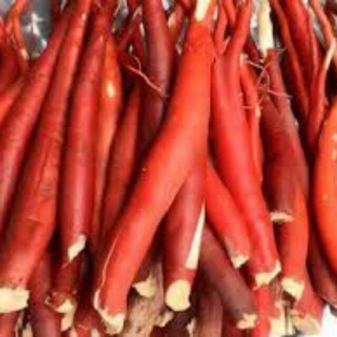 sỉ toàn quốc 2kg sâm cau đỏ