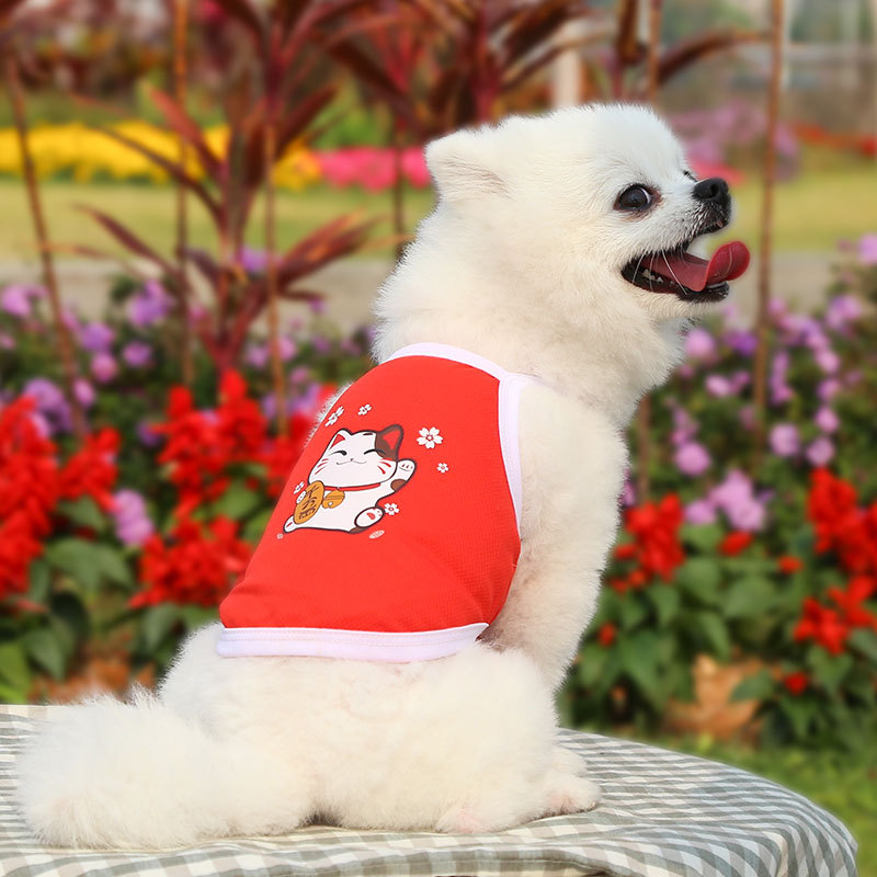 Áo 2 dây dành cho chó mèo dưới 15kg