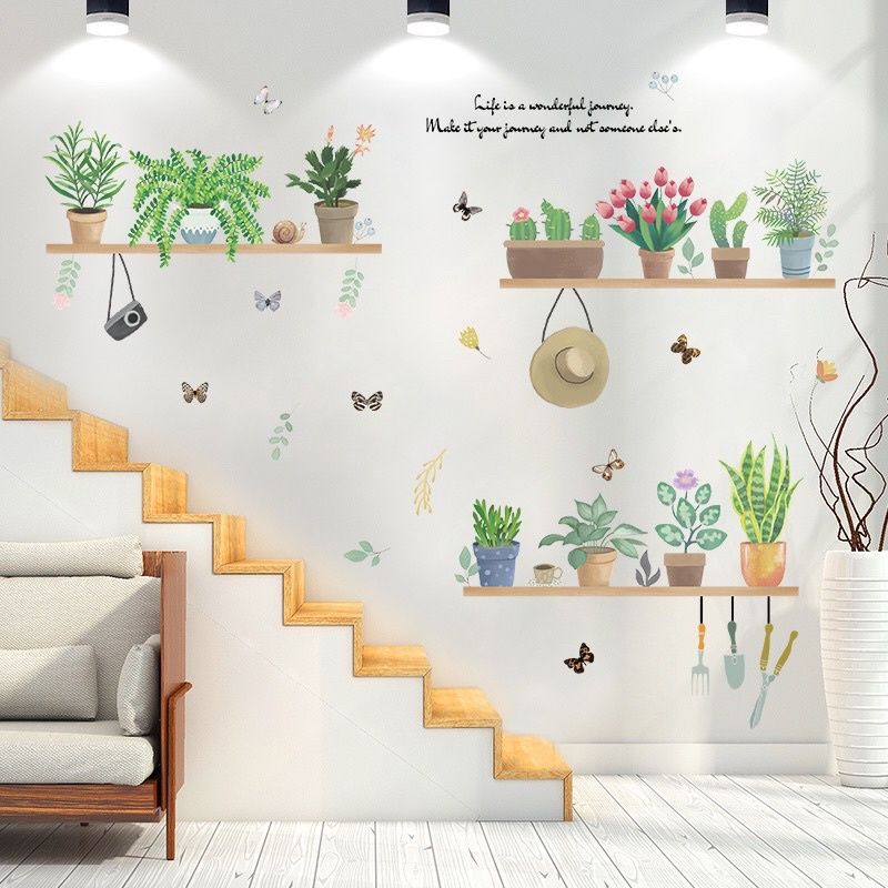 Decal dán tường chậu cây xanh trên kệ