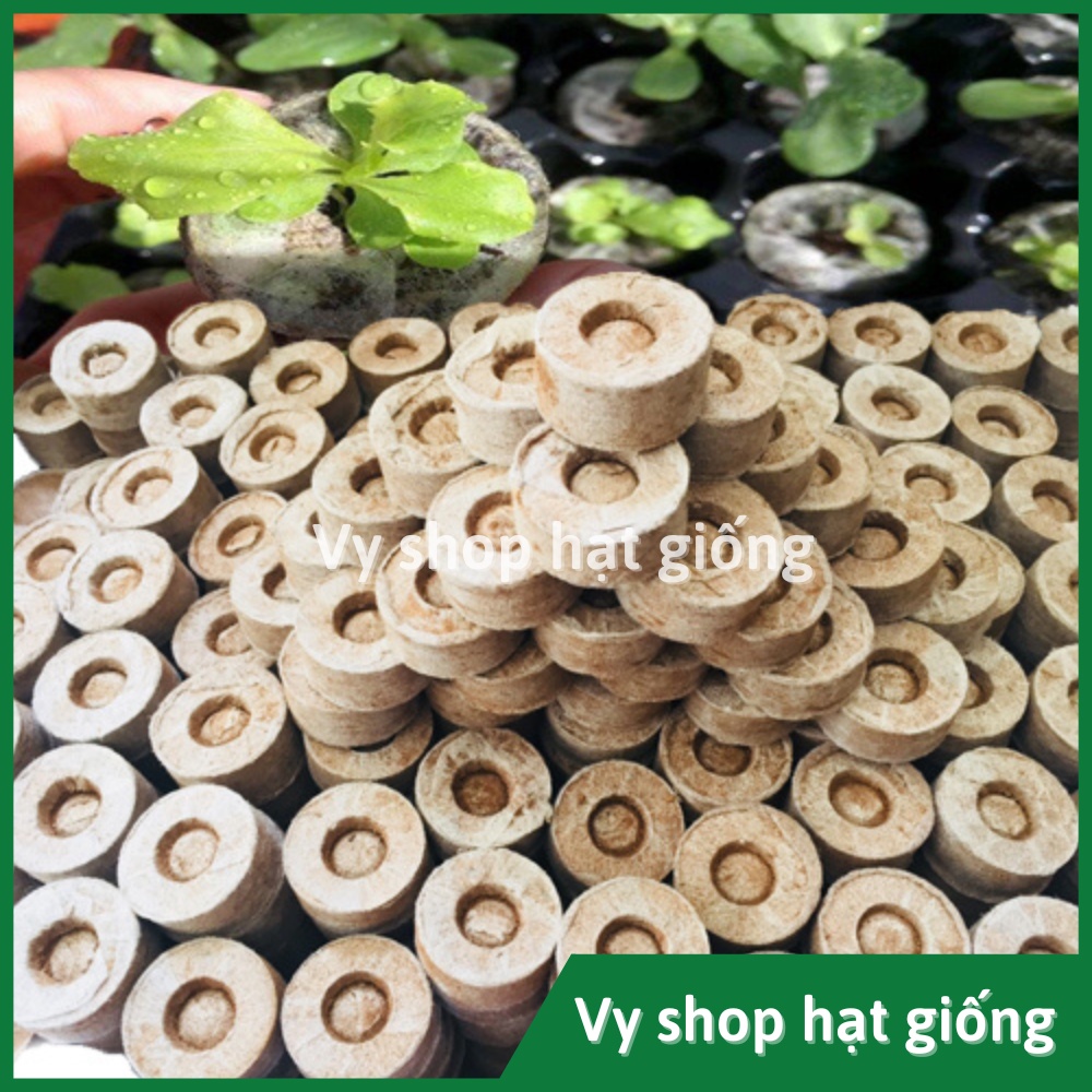 1 Viên nén xơ dừa ươm hạt giống
