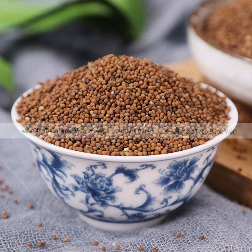 Bạch giới tử hữu cơ 100g ( Hạt cải trắng giảm ho, tiêu đàm) - Chợ Thảo Dược Việt