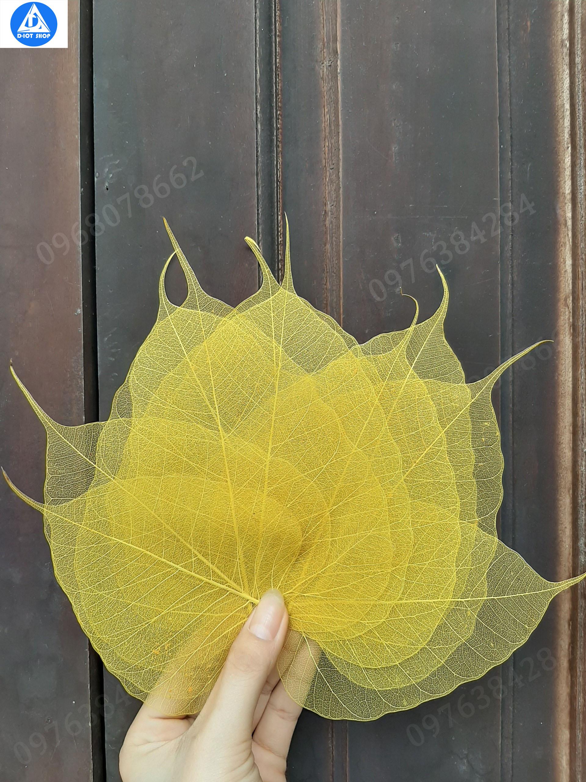 set 10 lá bồ đề đã nhuộm vàng tự nhiên