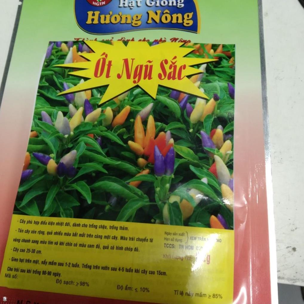 HẠT ỚT NGŨ SẮC - GÓI 0,2GRAM