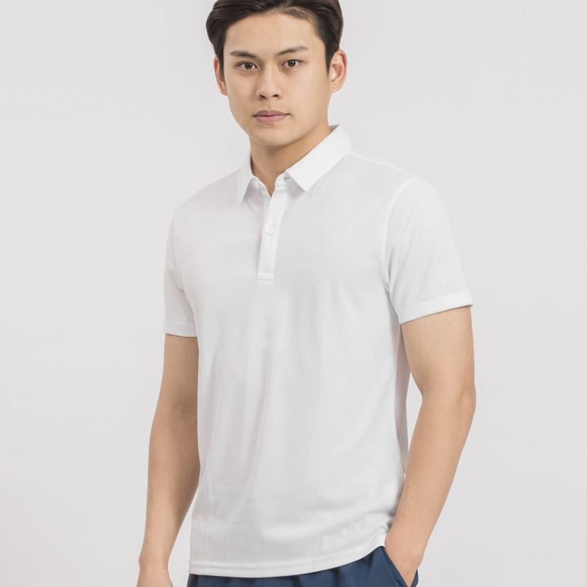 ÁO POLO NAM ARISTINO APS048S9