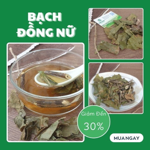 Bạch đồng nữ khô 200g - taphaco - Ngăn ngừa tình trạng mẫn ngứa và ghẻ lỡ cực hiệu quả - Thảo Dược Tấn Phát