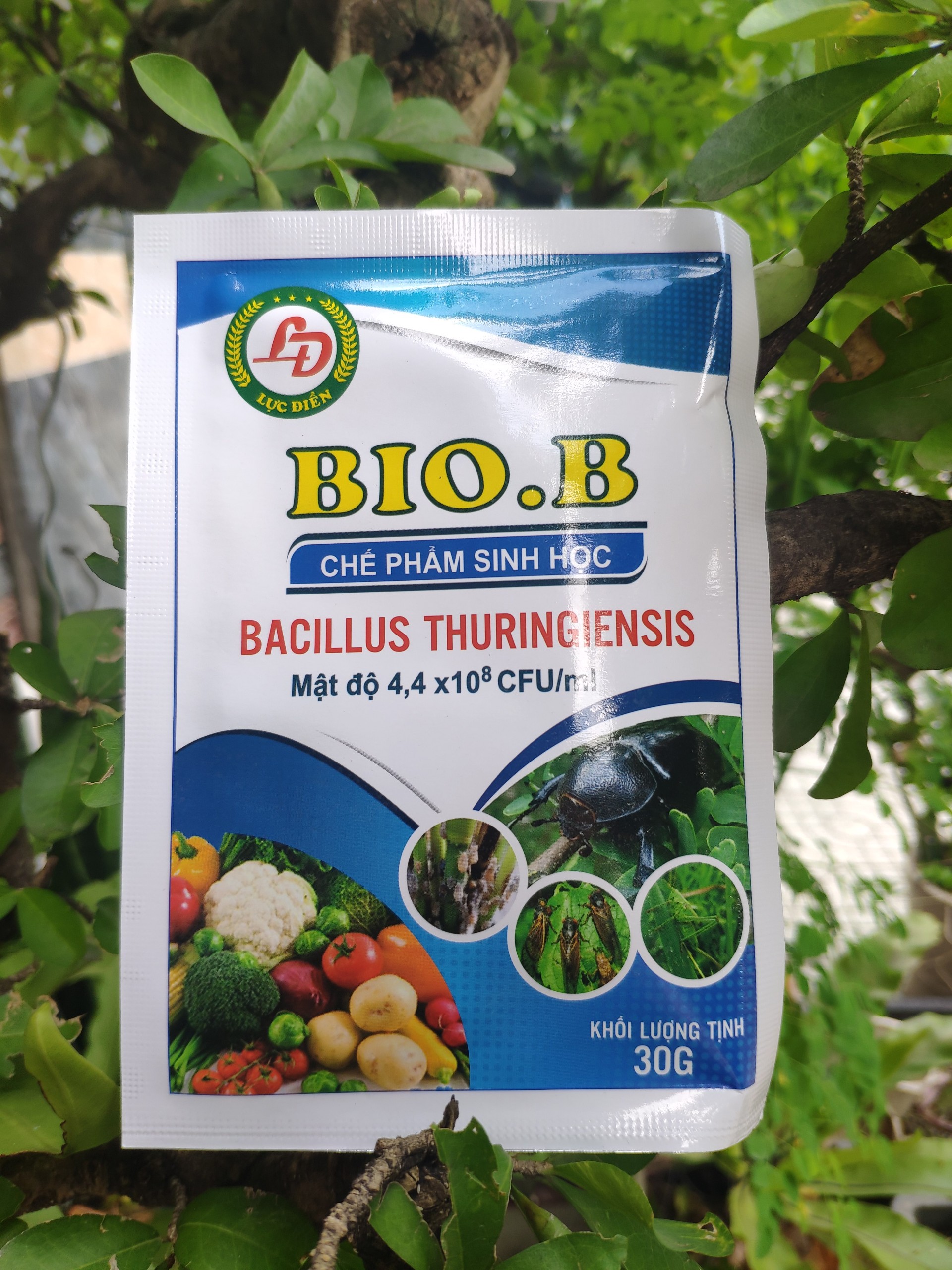 Thuốc trừ sâu sinh học BioB 30g