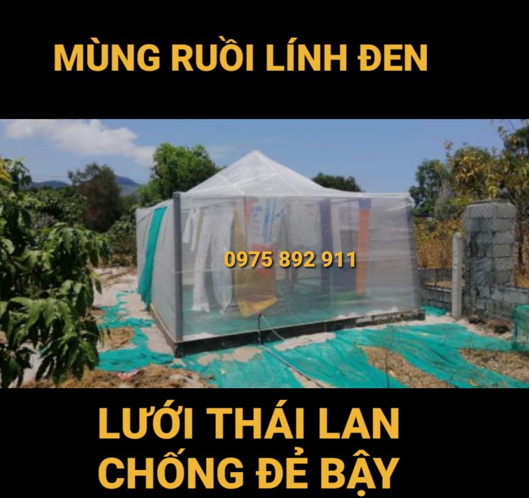 lồng nuôi cào cào , châu chấu 5x4x2