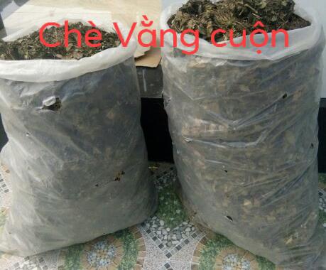 [HCM]Chè vằng lá nhỏ 1kg