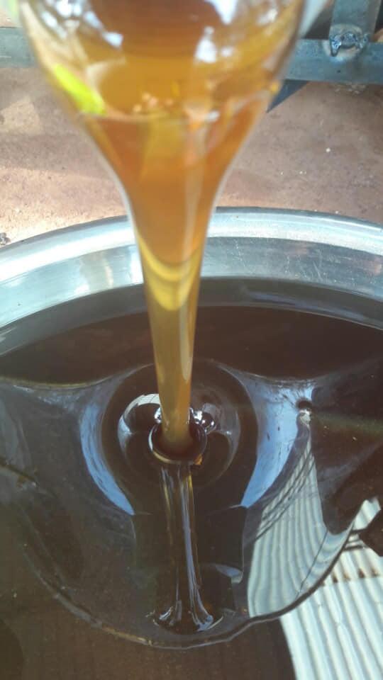 Mật ong hoa cà phê nguyên chất chai 0.5 lít