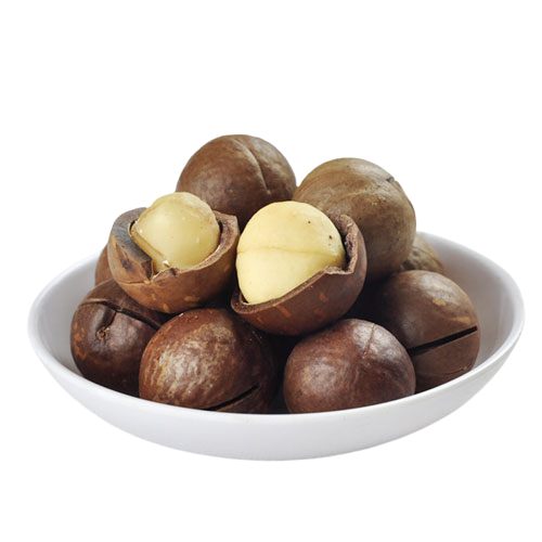 1kg hạt macca Lâm Đồng  sấy chín [zise nhỏ]