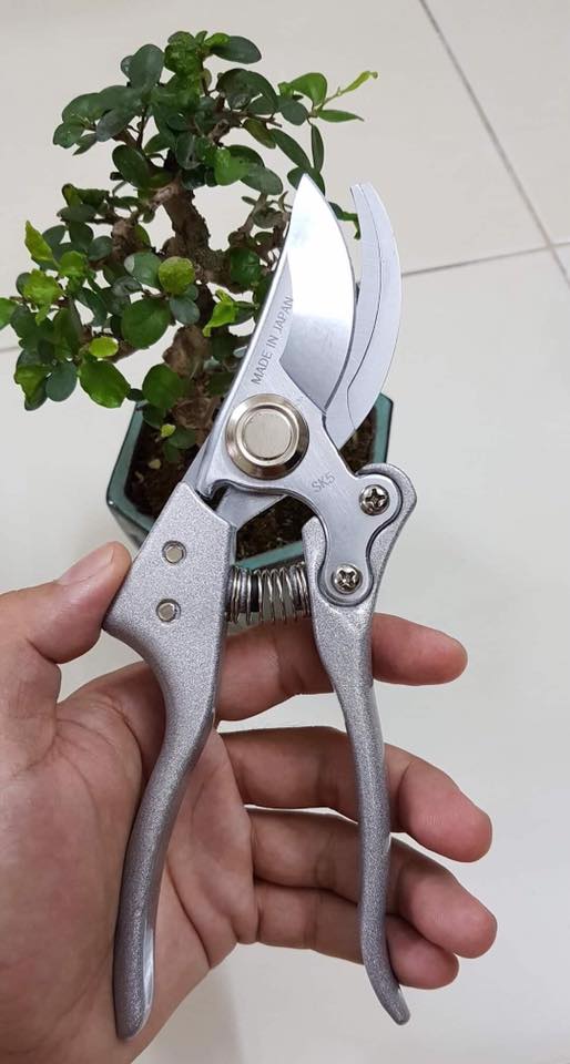 [HCM]Kéo cắt cành Nhật Bản mỏ cong sắc bén K223