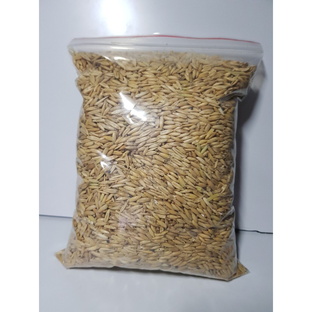 Hạt Yến Mạch gói 500g - 1kg