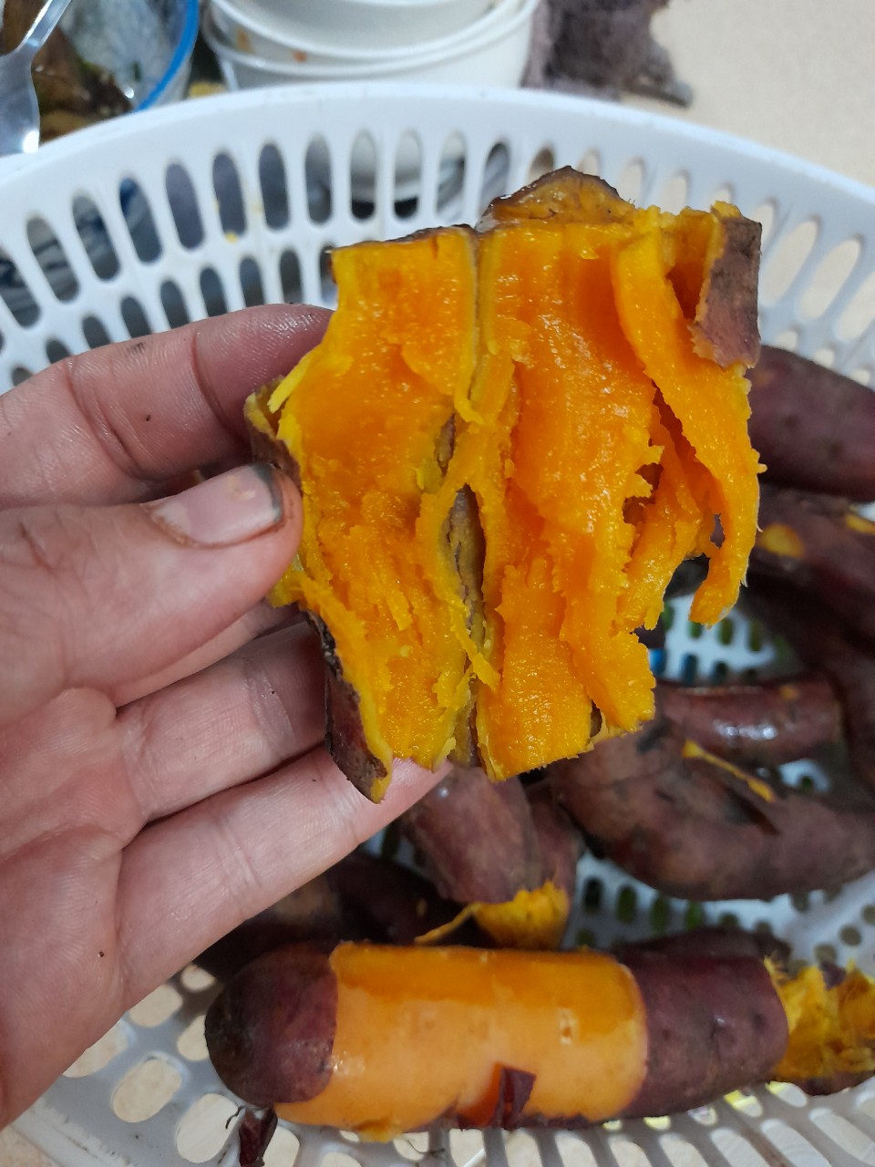 Khoai Lang Mật Tà Nung Đà Lạt Cỡ Trung (7-10 củ 1 ký) [ Combo 3 Ký ]