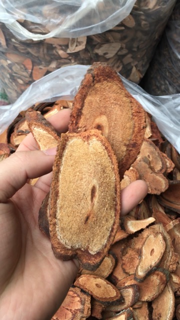 cỏ máu phơi khô nguyên vi