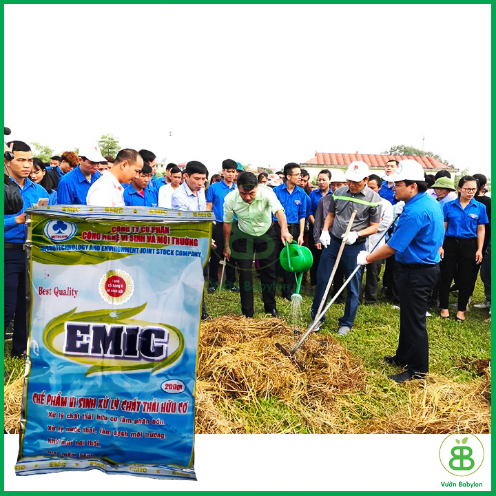Chế Phẩm EM Ủ Phân Cá - EMIC