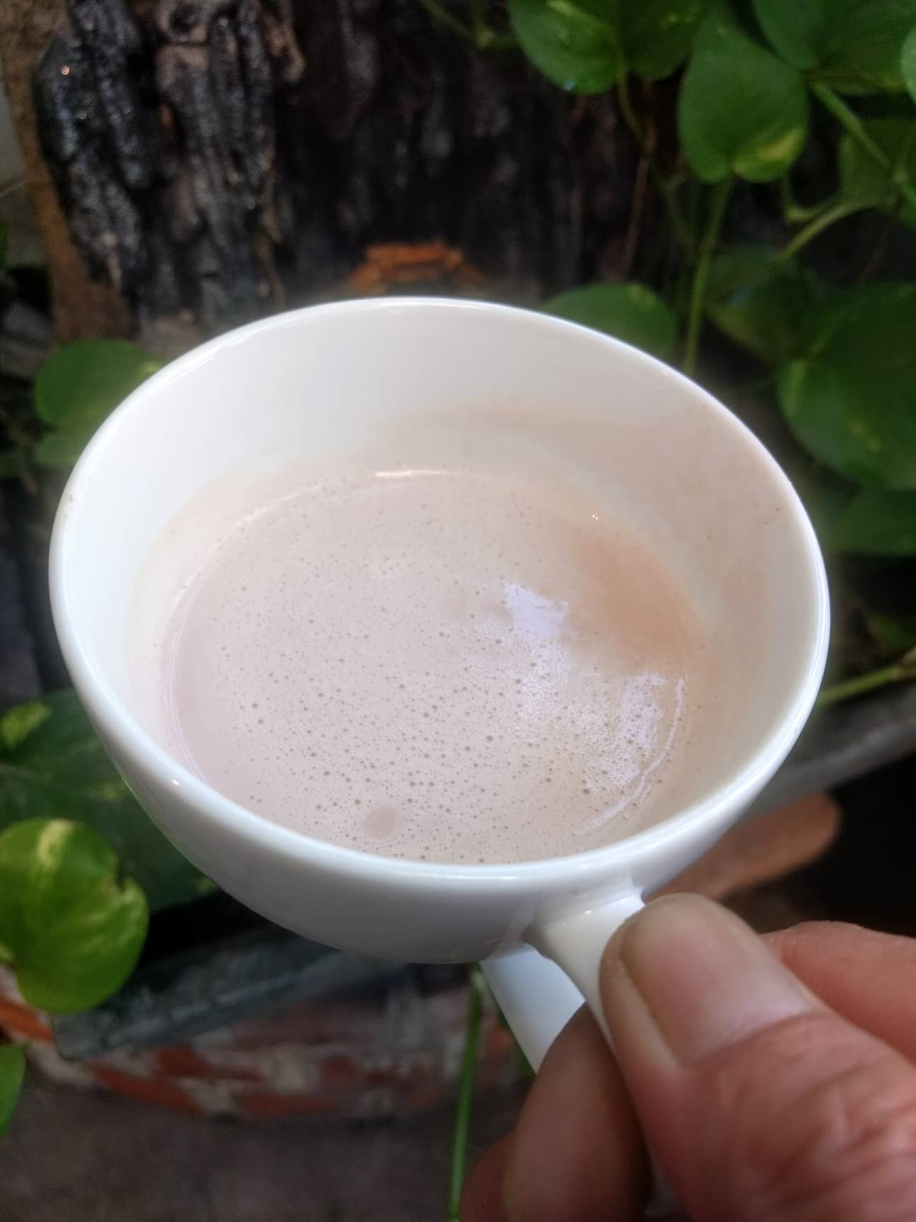Bột gạo lứt đỏ Organic Việt Nam đã rang 500g