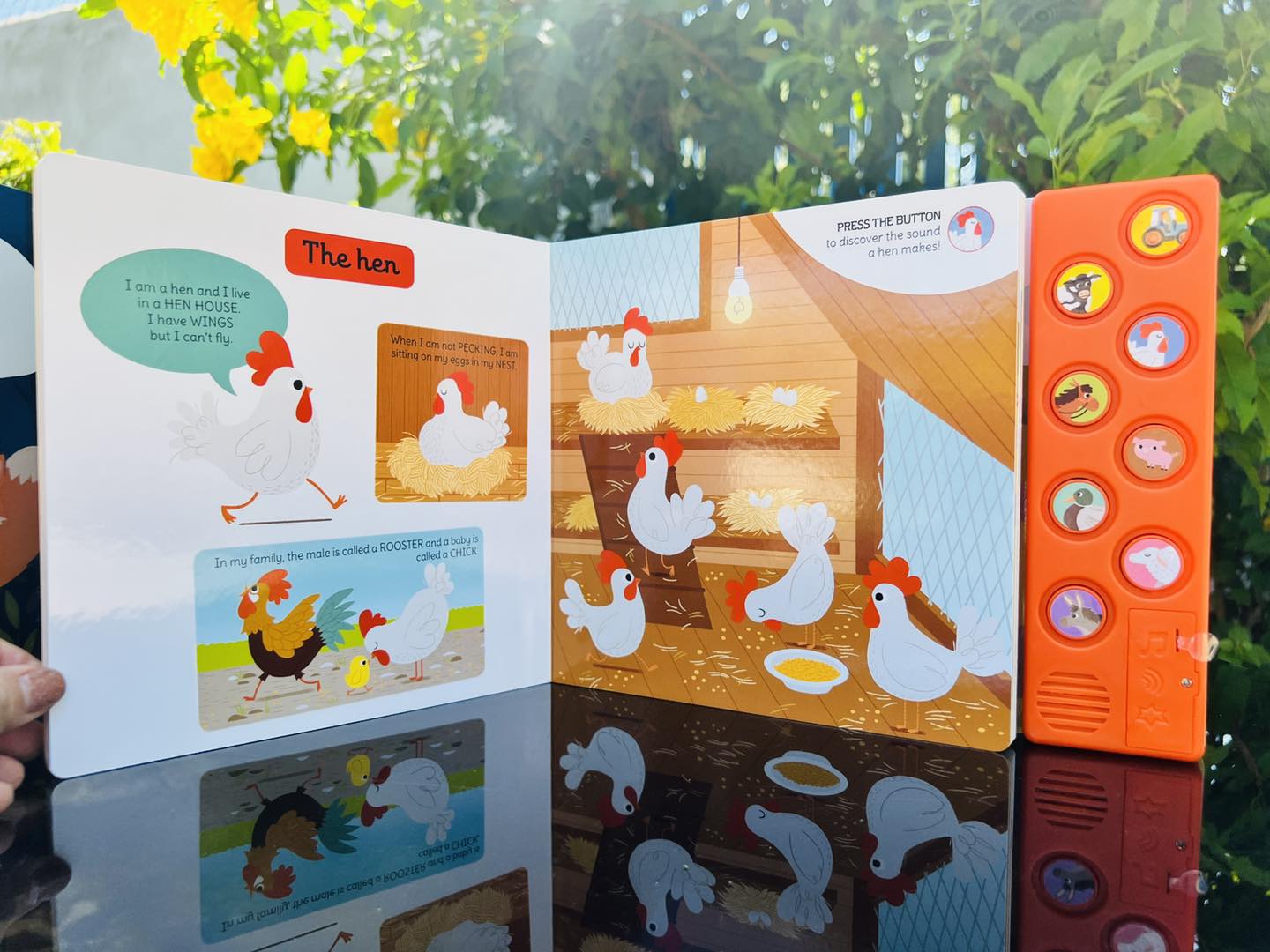 My First Sound Book: On the Farm
