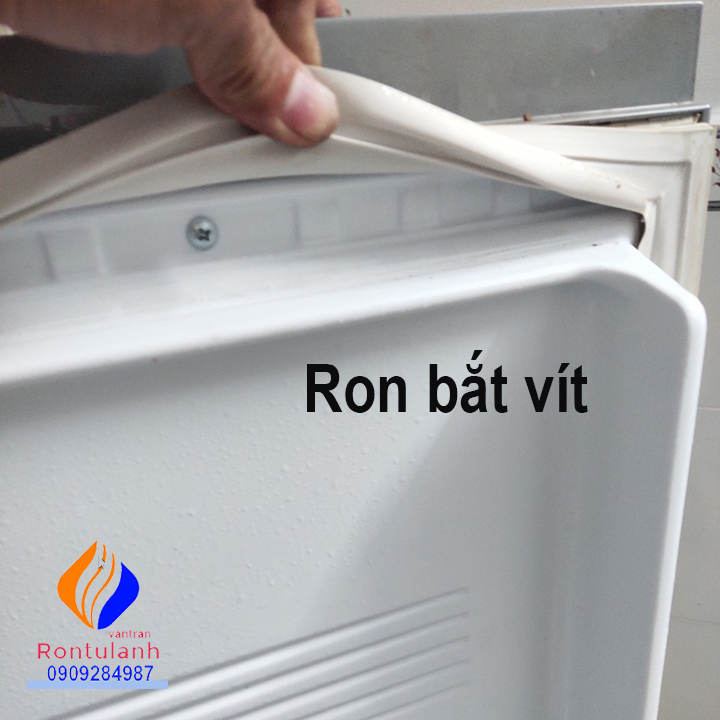 Ron tủ lạnh hitachi model r-31ag5d