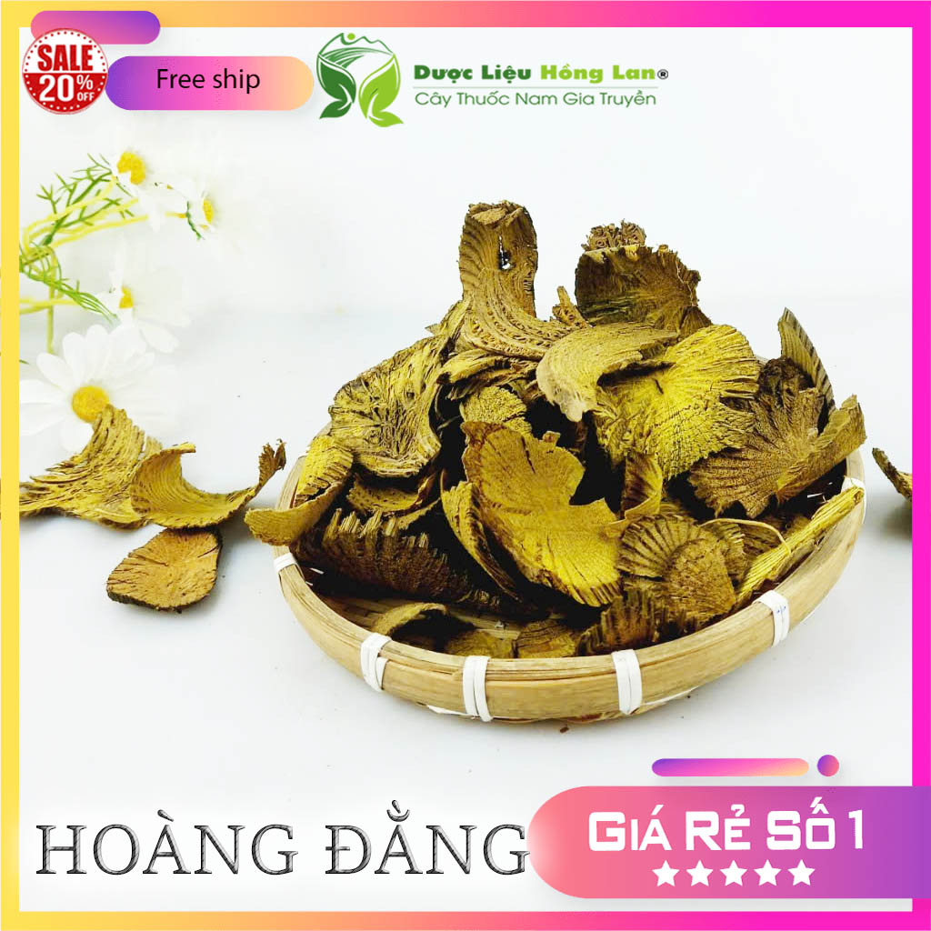 [FreeshipMAX] Combo 2kg Hoàng Đằng khô - duoclieuhonglan