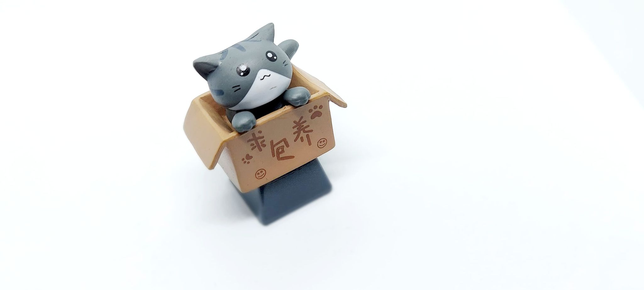 xả lỗ Keycap Cat in box trang trí bàn phím cơ gaming.