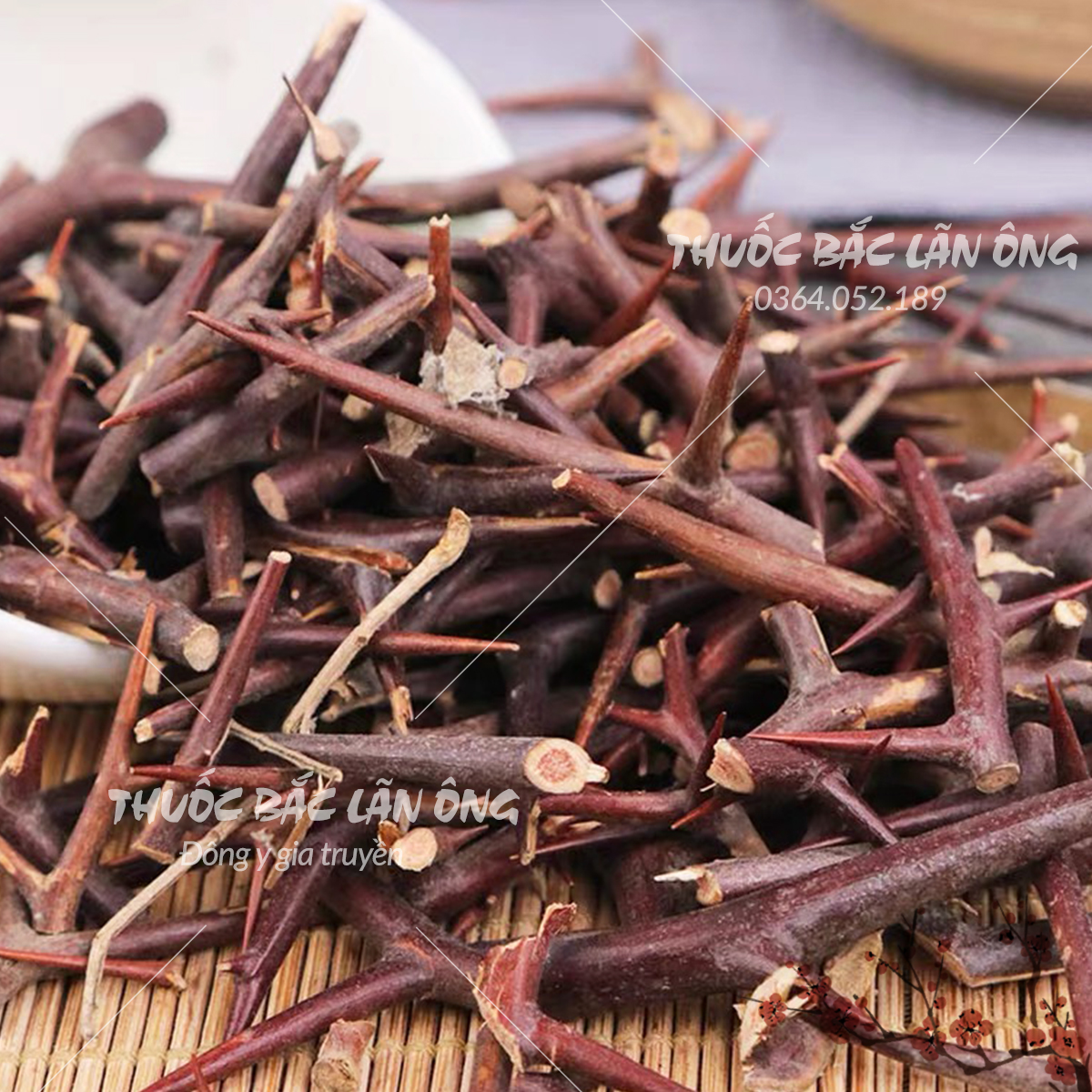 Gai bồ kết khô 500g (Tạo giác thích)