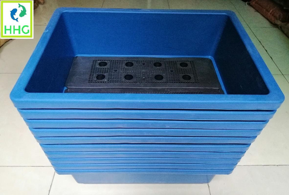 10 KHAY NHỰA TRỒNG RAU KÍCH THƯỚC 47X33X16CM - MÀU XANH