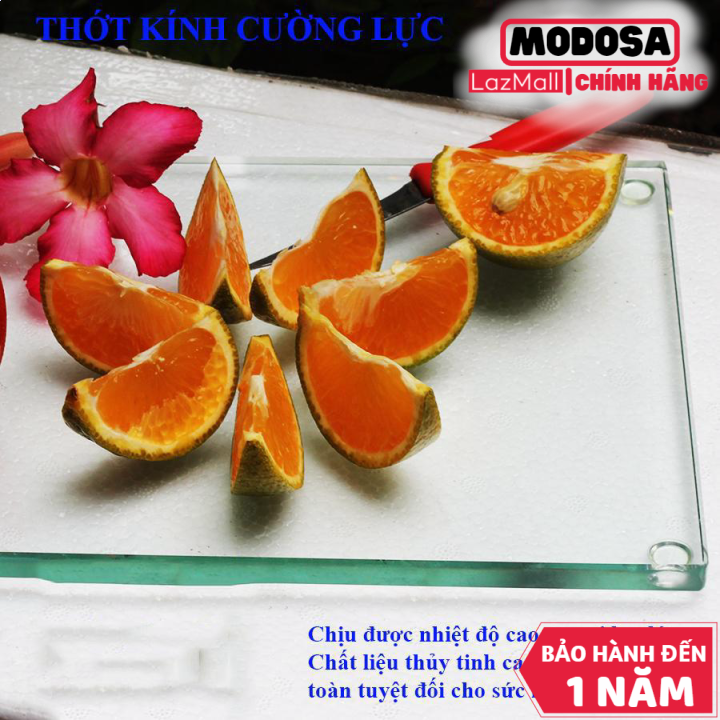 Thớt Kính Modosa Cường Lực Sala
