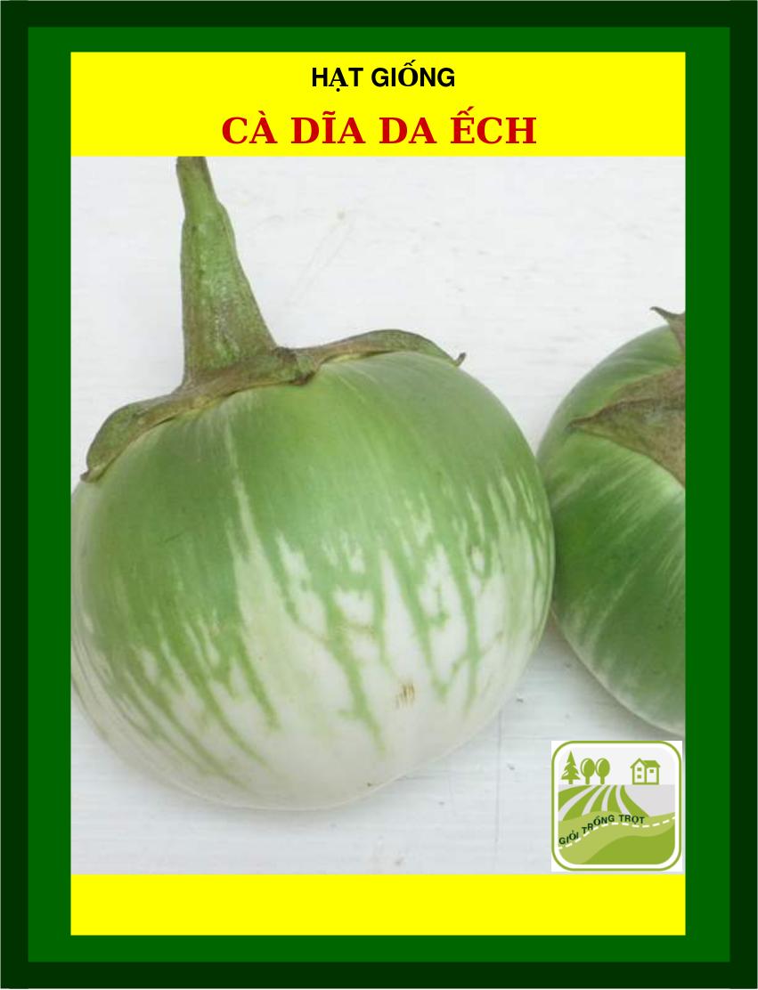 Hạt Giống Cà Dĩa Da Ếch - 1Gram