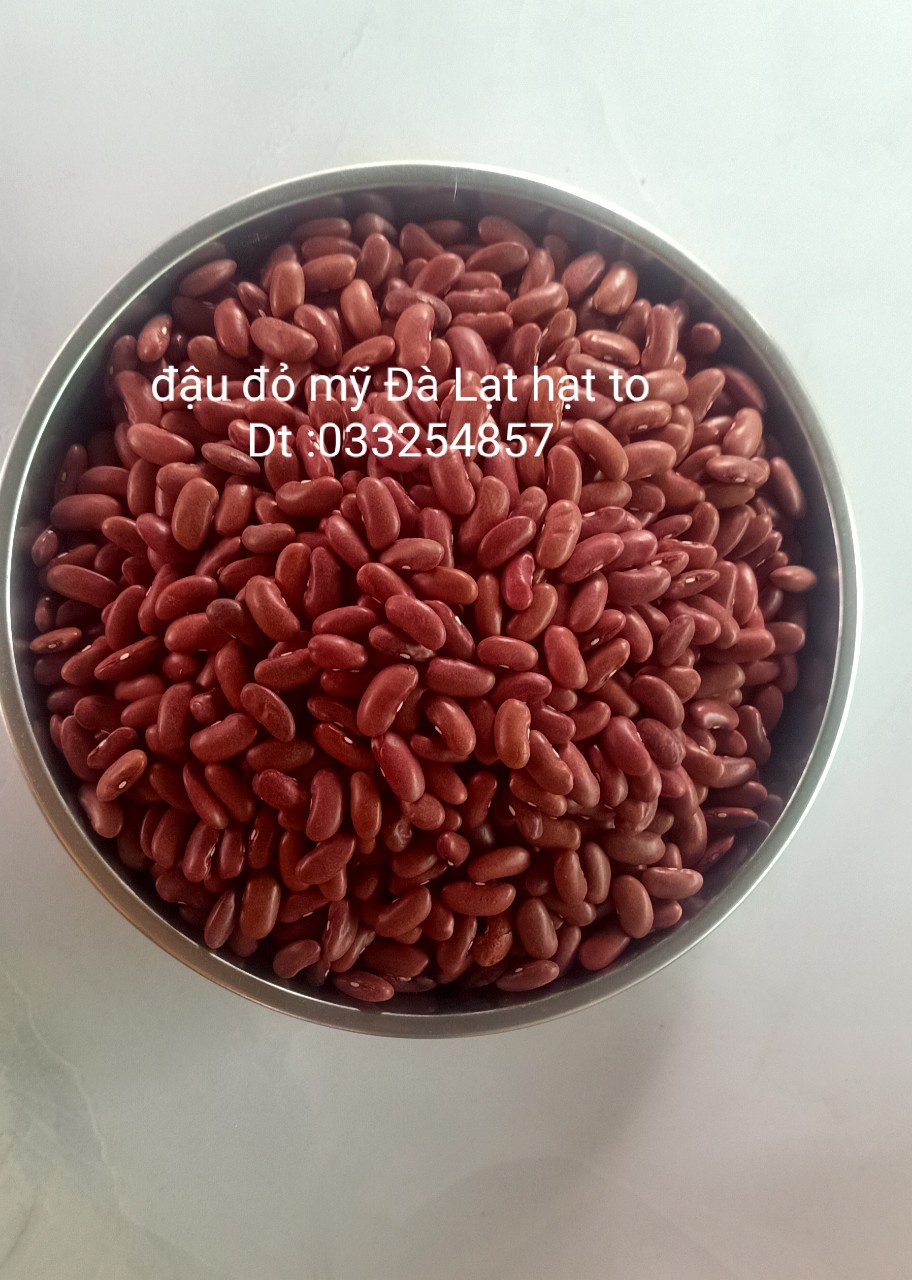 1 kg ĐẬU ĐỎ SẠCH ĐÀ LẠT HẠT TO NGON( LOẠI KHÔ)  ĐẬU ĐỎ