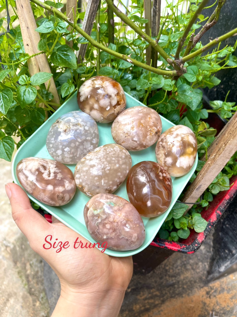 Palm Blossom Agate - Đá Mã Não Hoa Anh Đào | CADA DECOR