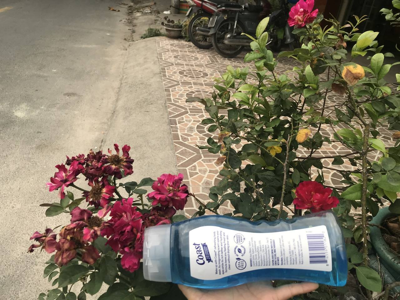 Sữa tắm gội Coast Mỹ 532 ml