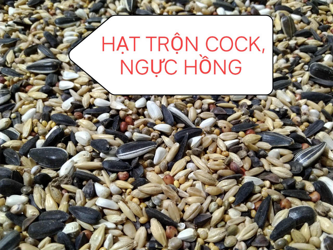 1KG HẠT TRỘN CHO COCKATEIL-VẸT NGỰC HỒNG-GREEN CHECK