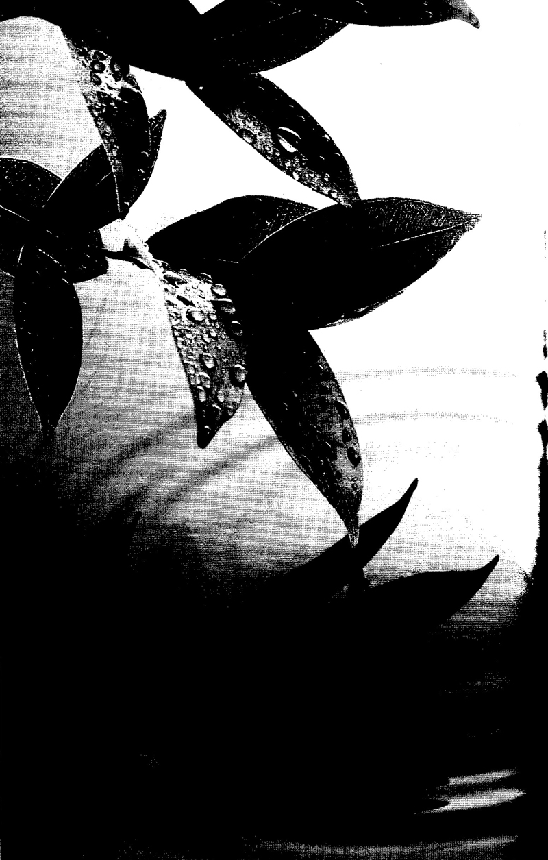 Fahasa - Khí Công Dưỡng Sinh (Tái Bản)