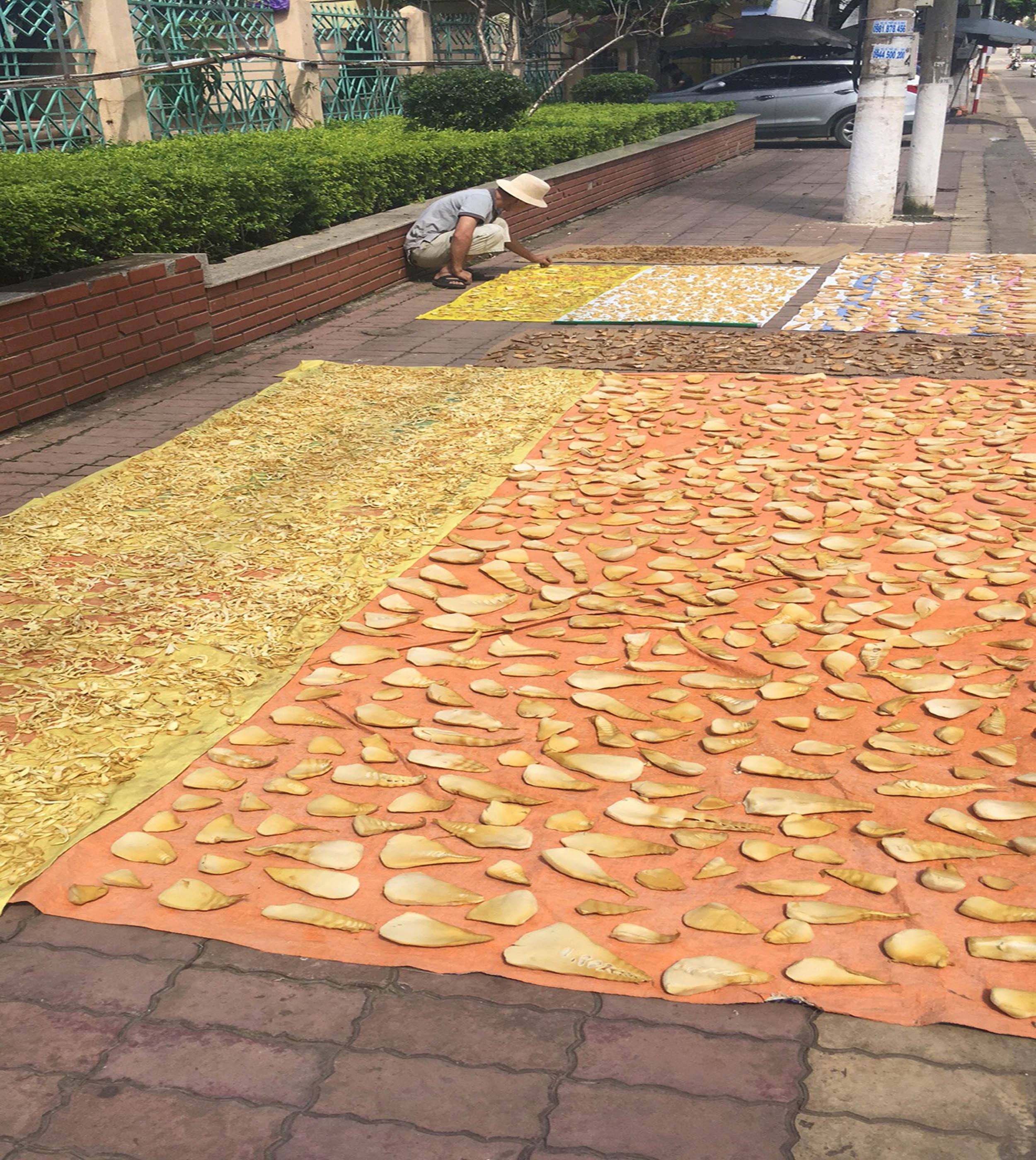 Măng Khô Xé Sợi Sơn La 1kg